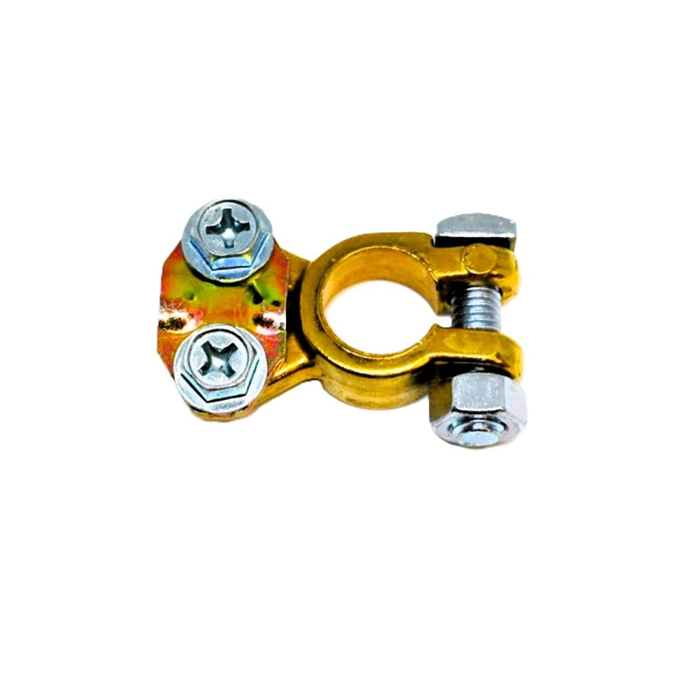 Icon Battery Terminal - Universal Pos/Neg. Front view of brass terminal with silver bolts.