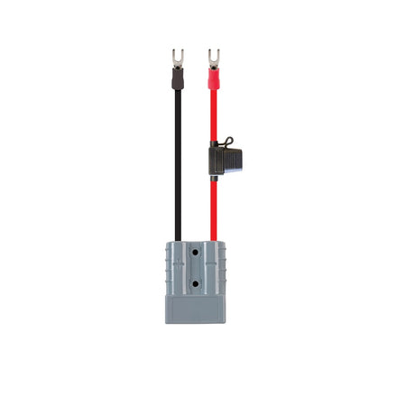 KT Solar 50A Plug & Eye Term 4mm (6mm2) - 30cm-KT70573. Front view of grey 50A plug and red and black cables with terminals and fuse holder coming out of it.